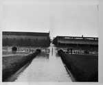 Fort Worth Stockyards post-flood by W. D. Smith