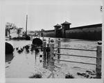 Fort Worth Stockyards post-flood by W. D. Smith