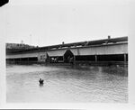 Fort Worth Stockyards post-flood by W. D. Smith