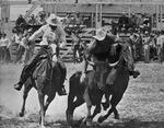 Steer wrestling during Rodeo by W. D. Smith