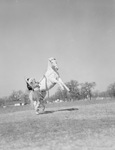 Woman in Native American clothing holding reins of a horse by W. D. Smith