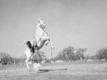 Woman in Native American clothing holding reins of a horse by W. D. Smith