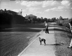 Man with dog on sidewalk by W. D. Smith