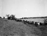 Two men on horseback herding cattle near a lake by W. D. Smith