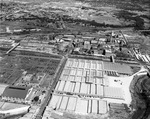 Aerial of Fort Worth, Texas packing plants and Stock Exchange building in Fort Worth's Stockyards by W. D. Smith Commercial Photography