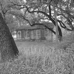 The Log Cabin Village