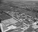 An aerial of Armour & Company and stockyards