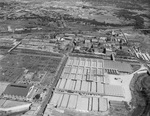 Aerial view of packing plants by W. D. Smith