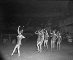 Shrine Circus performers by W. D. Smith