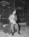 Shrine Circus lion cub by W. D. Smith