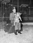 Shrine Circus lion cub by W. D. Smith