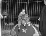 Child with a Shrine Circus lion cub by W. D. Smith