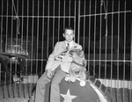 Child with a Shrine Circus lion cub by W. D. Smith