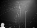 Shrine Circus acrobat performers by W. D. Smith