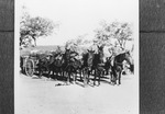 A group of military men and their horses by W. D. Smith