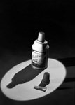 Miniature bottle of Reddi-Wip whipped cream by W. D. Smith