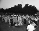 Group at outdoor luncheon by W. D. Smith