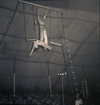 Gainesville Shrine Circus by W. D. Smith