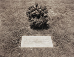 Drum & Bugle Corps, Grave marker for Julian D. Stepp by W. D. Smith