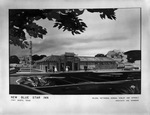 Drawing of New Blue Star Inn by Wilson & Patterson Architects by W. D. Smith and Wilson & Patterson (Architects)