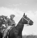 Man on a horse by W. D. Smith