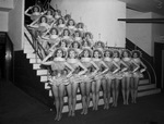 Rockettes by W. D. Smith