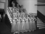 Rockettes by W. D. Smith