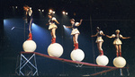 Circus by W. D. Smith