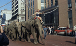 Woman riding elephant in parade by W. D. Smith