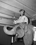 Houston Shrine Circus by W. D. Smith