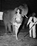 Houston Shrine Circus by W. D. Smith