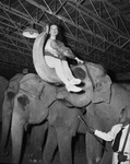 Houston Shrine Circus by W. D. Smith