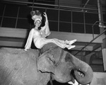 Houston Shrine Circus by W. D. Smith