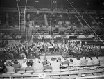 Houston Shrine Circus by W. D. Smith