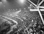 Houston Shrine Circus by W. D. Smith