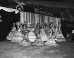 Houston Shrine Circus by W. D. Smith