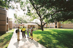 Arbor Oaks Courtyard by University Photographer