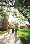 Arbor Oaks Courtyard by University Photographer