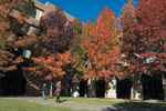 Architecture Building Fall Trees by University Photographer