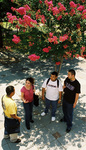 Campus Scene by University Photographer