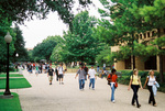 Campus Scene by University Photographer