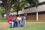 Campus Scene Woolf Hall by University Photographer