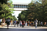 Campus Walkway by University Photographer