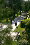 Campus Walkway by University Photographer