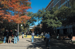 Central Library Fall Trees by University Photographer