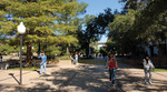 Central Library Mall by University Photographer