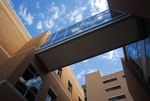 Chemistry And Physics Building And Chemistry Research Building Footbridge by University Photographer