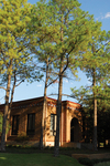 College Hall Trees by University Photographer