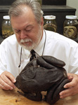 Dr. Campbell Examines Frog by University Photographer