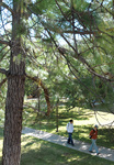 Footpath Footbridge View by University Photographer